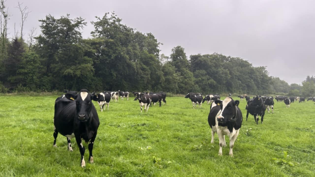 World Dairy Expo 2025 from 30 September to 03 October 2025 in USA